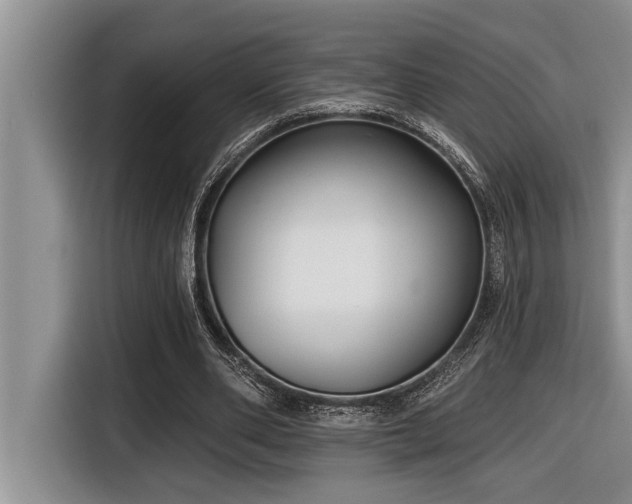 X0000116550486200912101417