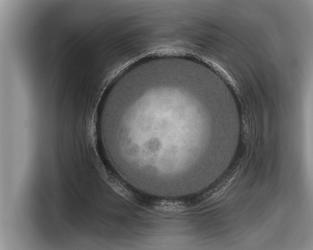 X0000116550487200912101417