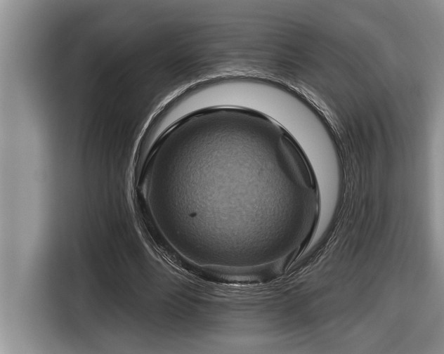 X0000116550488200912101417