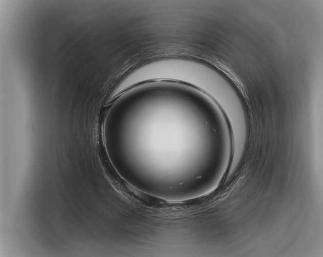 X0000116550489200912101417