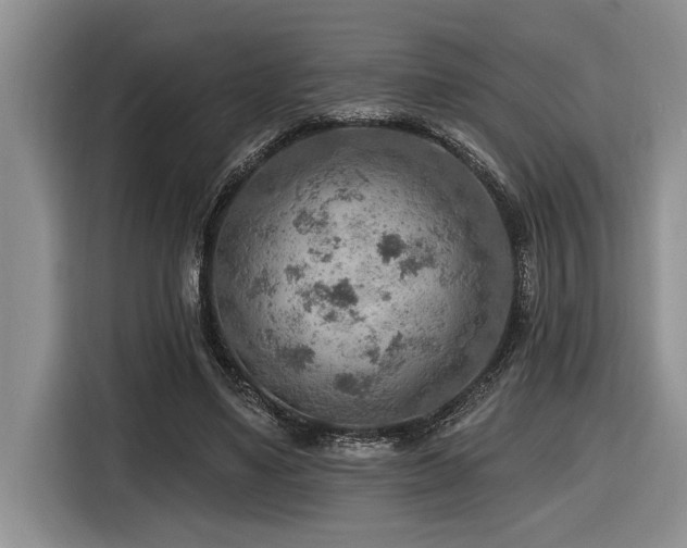 X0000116550491200912101417