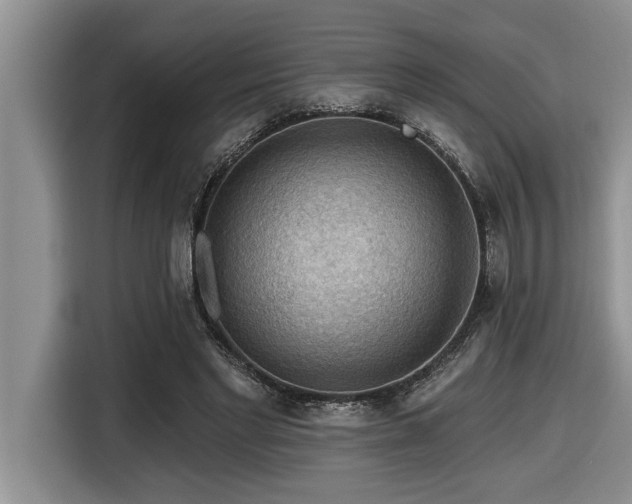 X0000116550493200912101417