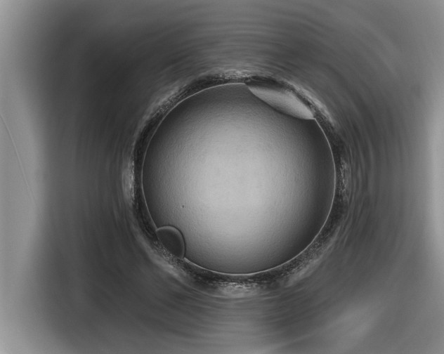 X0000116550494200912101417