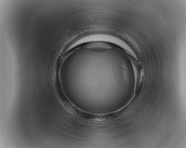 X0000116550496200912101417