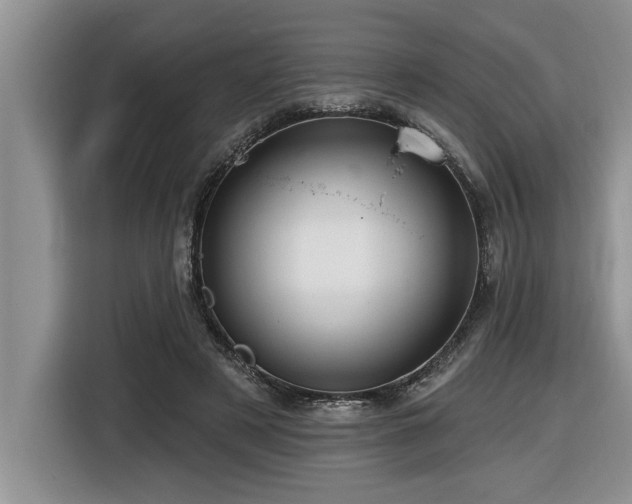 X0000116550497200912101417