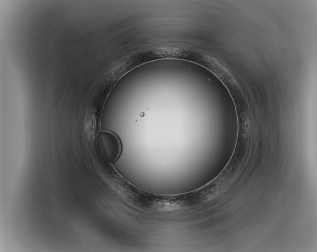 X0000116550498200912101417