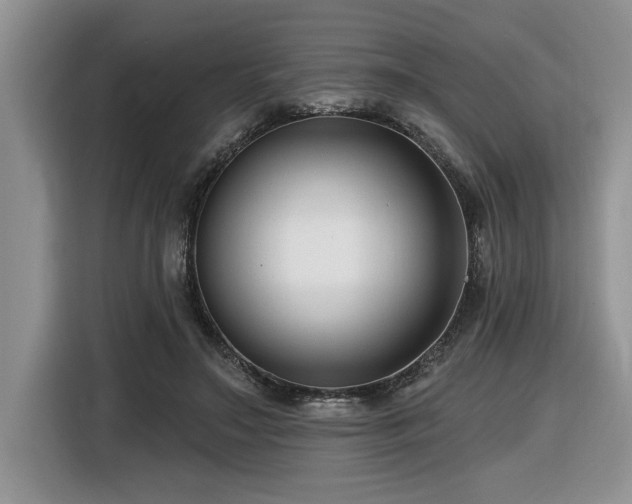 X0000116550499200912101417