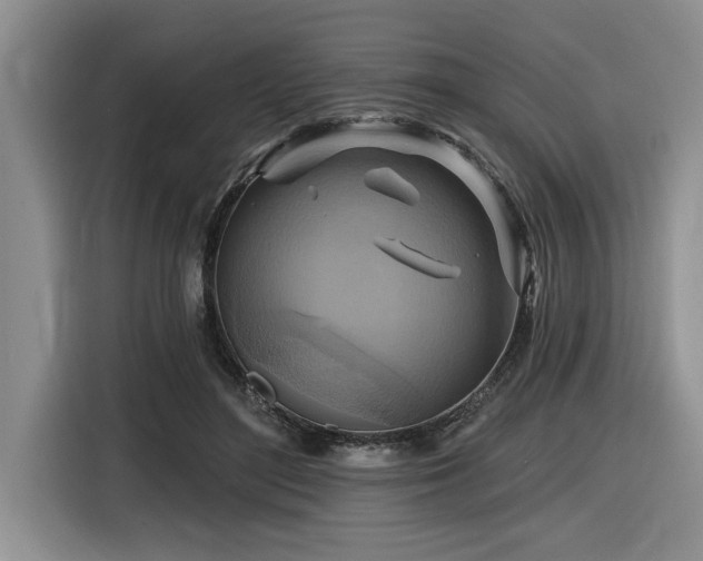 X0000116550500200912101417