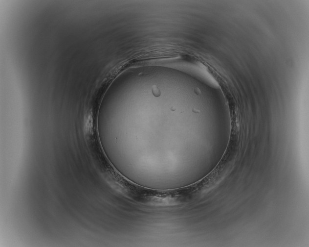 X0000116550502200912101417