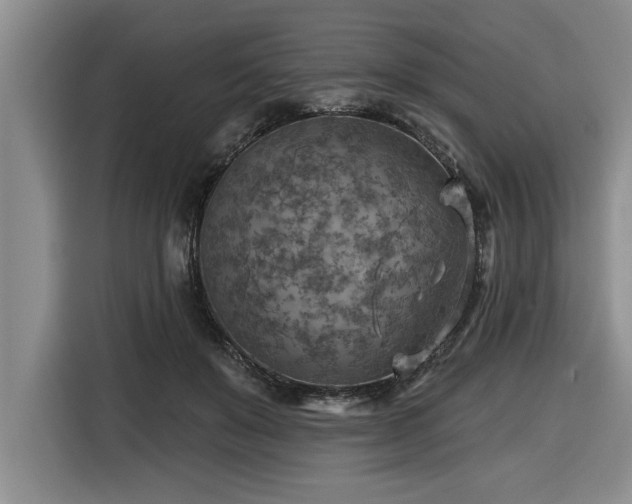 X0000116550503200912101416