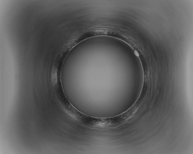 X0000116550504200912101416