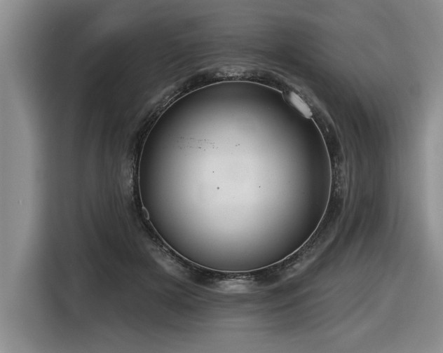 X0000116550505200912101416