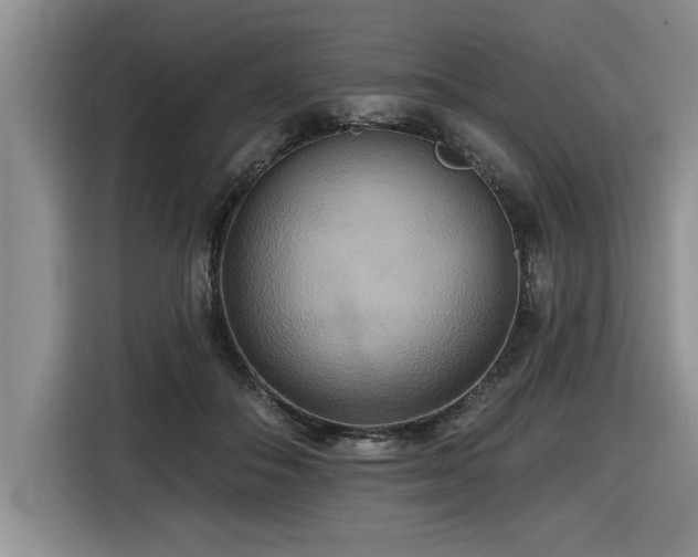 X0000116550506200912101416