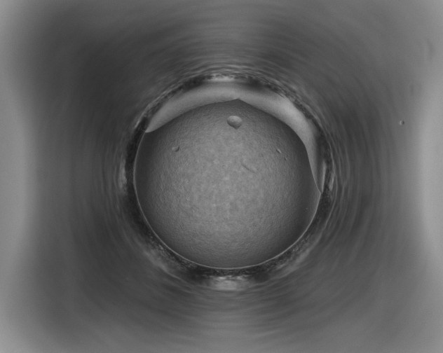 X0000116550508200912101416