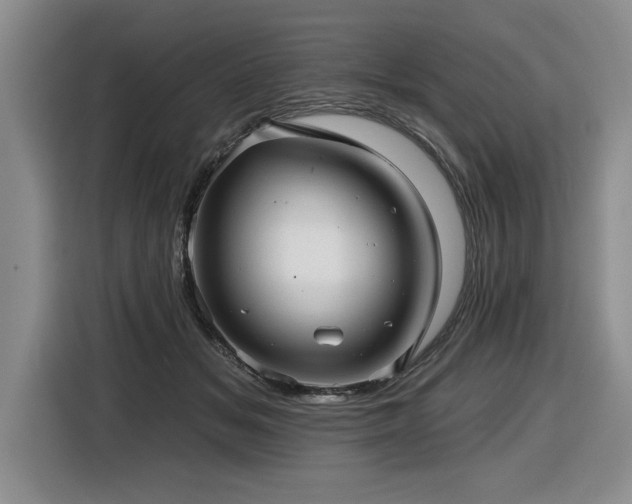 X0000116550509200912101416