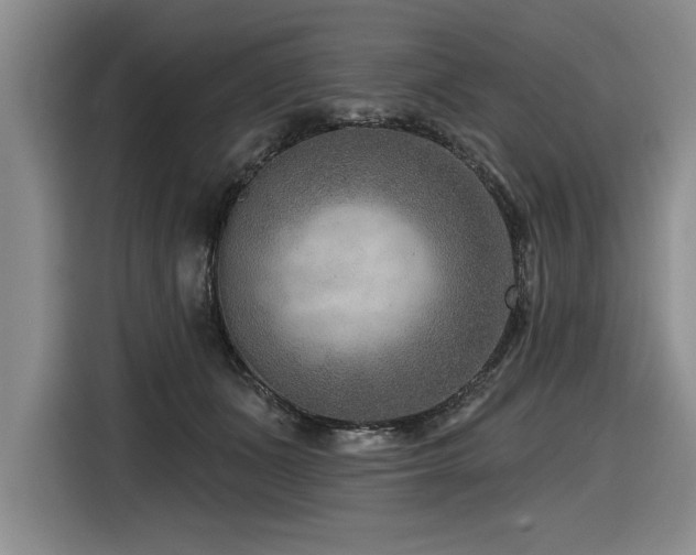 X0000116550511200912101416