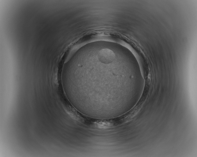 X0000116550512200912101416