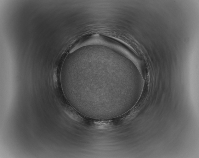 X0000116550516200912101416