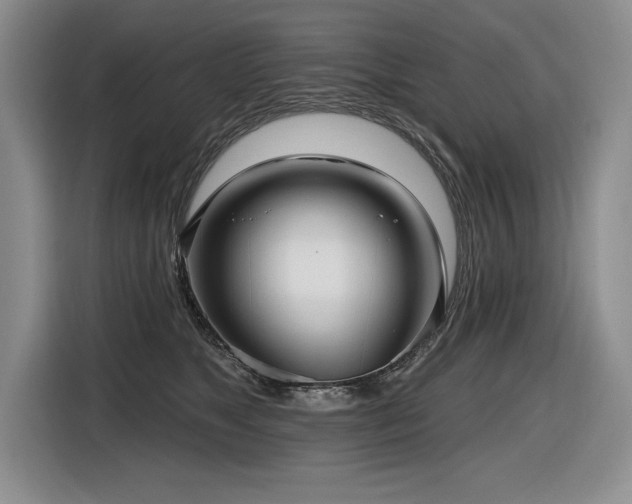 X0000116550517200912101416