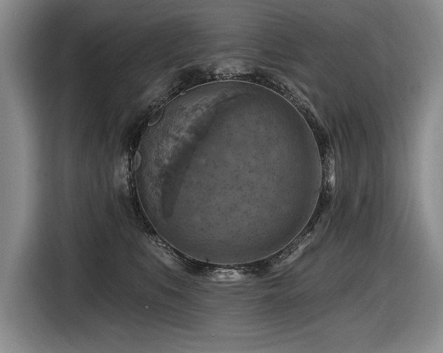 X0000116550519200912101416