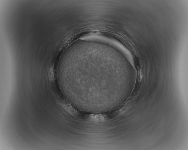 X0000116550520200912101416