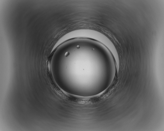 X0000116550521200912101416