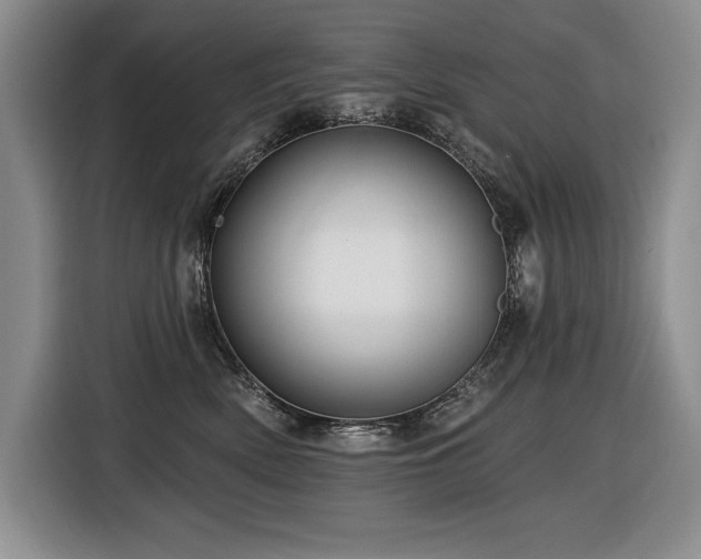 X0000116550522200912101416