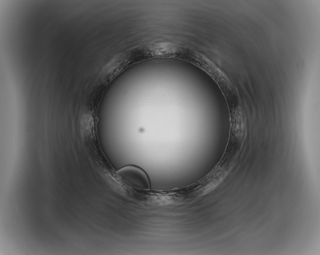 X0000116550523200912101416