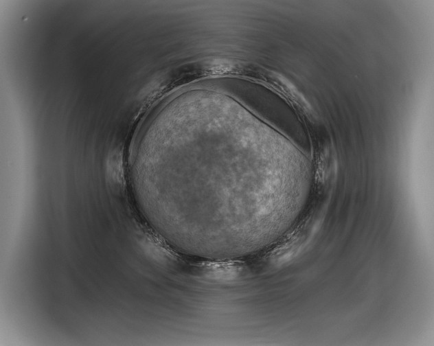 X0000116550524200912101416