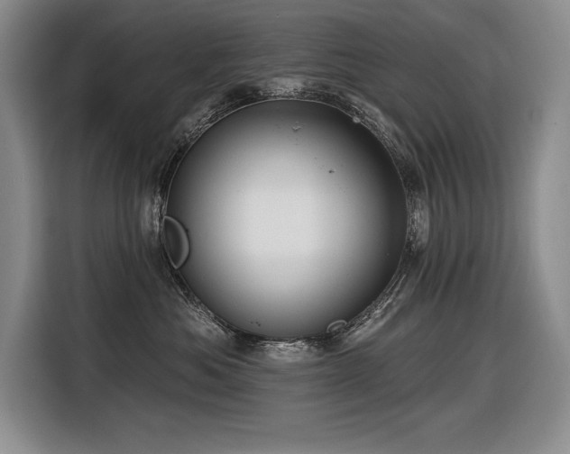 X0000116550525200912101416