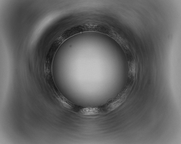 X0000116550526200912101416