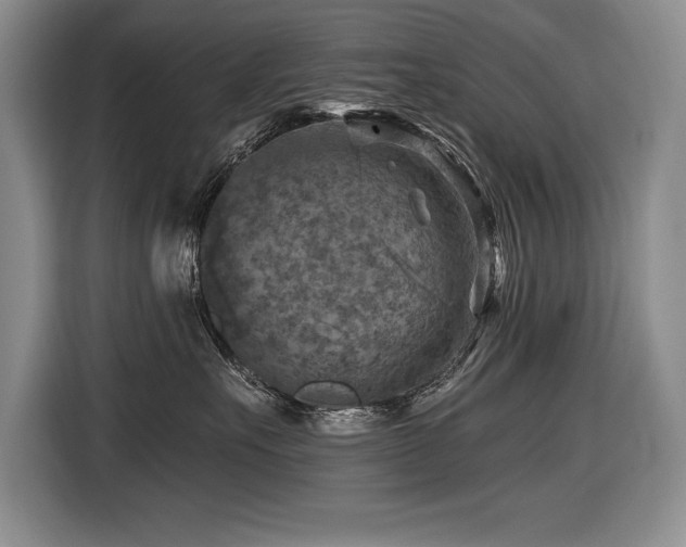 X0000116550527200912101416