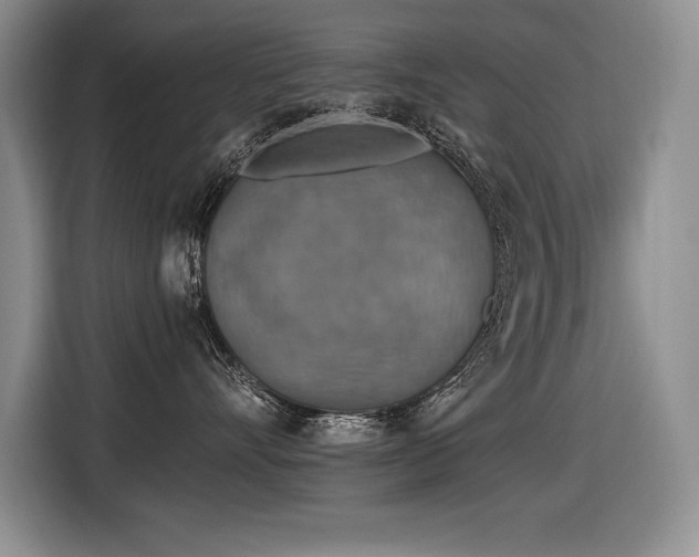 X0000116550528200912101416