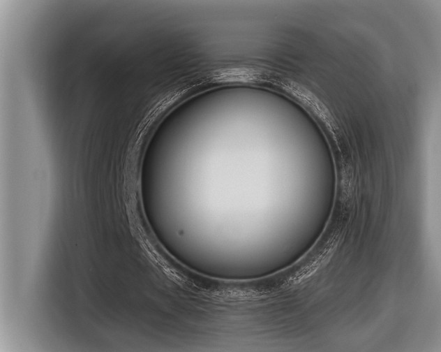 X0000116550529200912101415