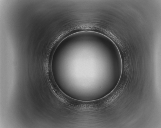 X0000116550530200912101415