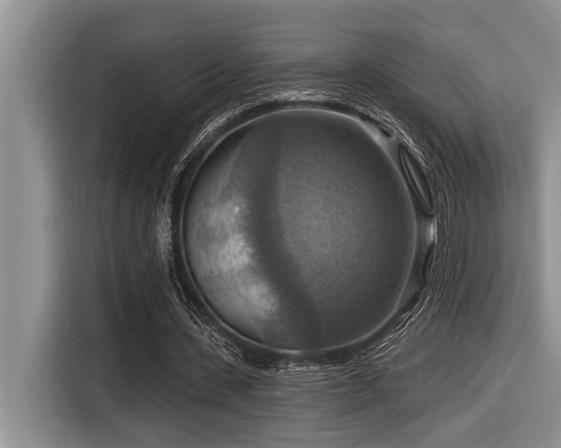 X0000116550531200912101415