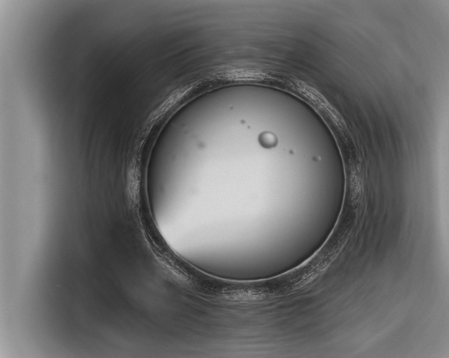 X0000116550533200912101416