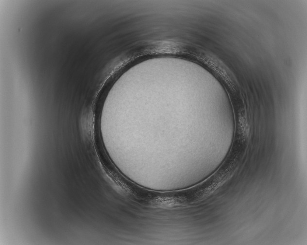 X0000116550534200912101416