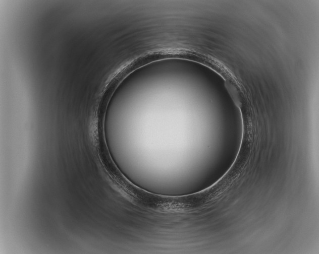 X0000116550535200912101416