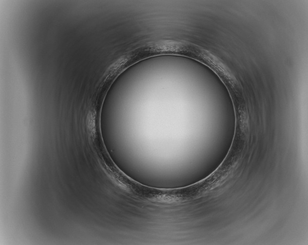 X0000116550537200912101416