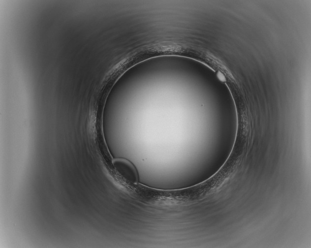 X0000116550538200912101416