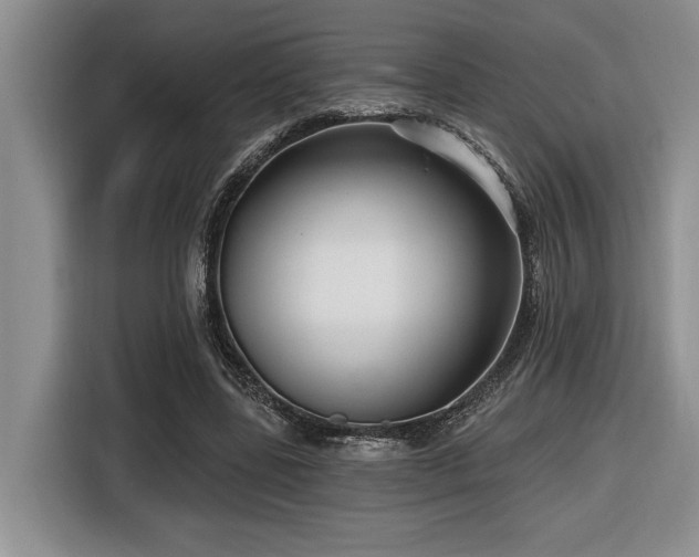 X0000116550539200912101416