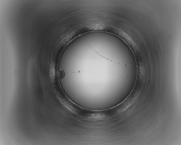 X0000116550541200912101416