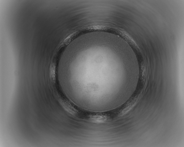 X0000116550542200912101416