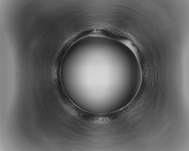 X0000116550543200912101416