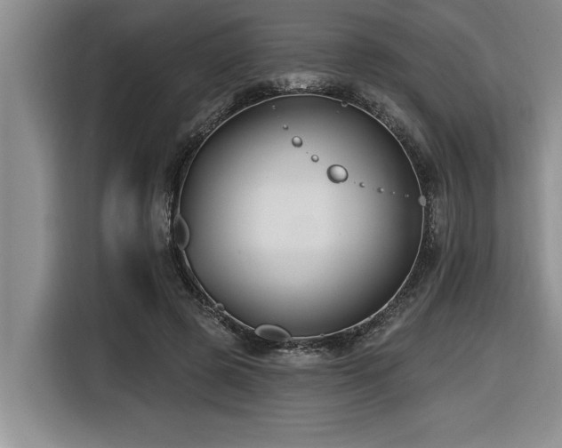 X0000116550545200912101416