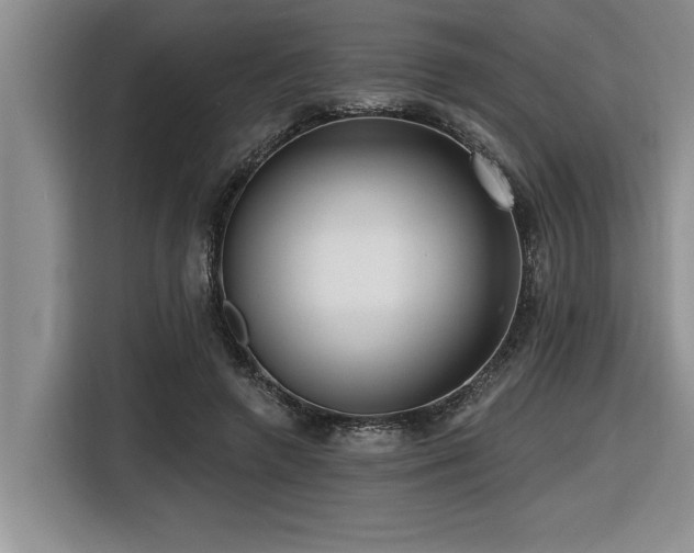 X0000116550546200912101416