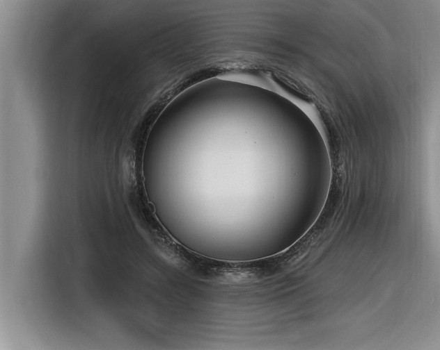 X0000116550547200912101416