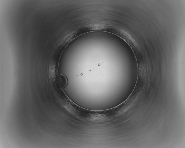 X0000116550549200912101416