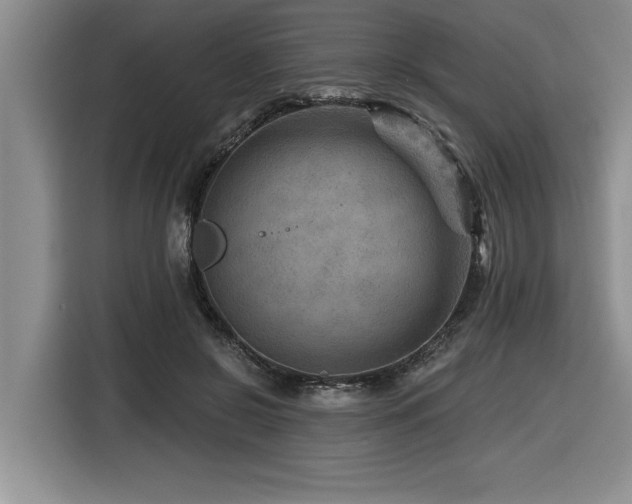 X0000116550550200912101416